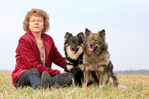 Finnische Lapphunde